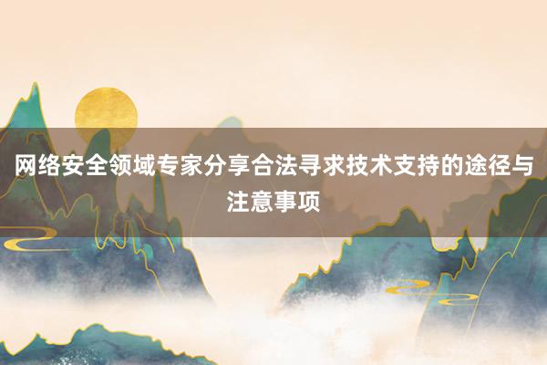 网络安全领域专家分享合法寻求技术支持的途径与注意事项