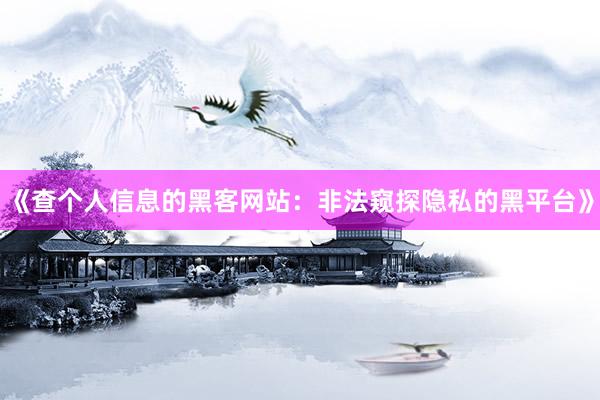 《查个人信息的黑客网站：非法窥探隐私的黑平台》